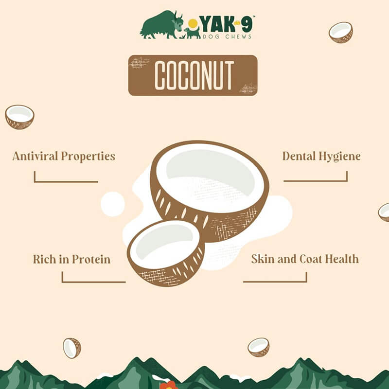 Yak9 Coconut Cheese Chew