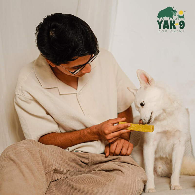 Yak9 Coconut Cheese Chew