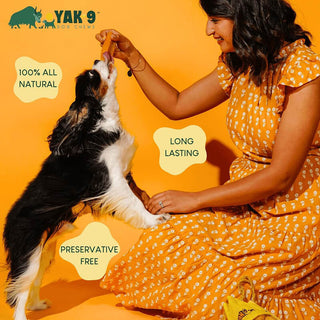 Yak9 Honey & Spirulina Cheese Chew