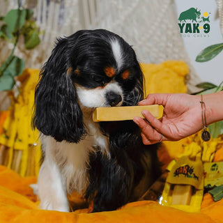 Yak9 Honey & Spirulina Cheese Chew