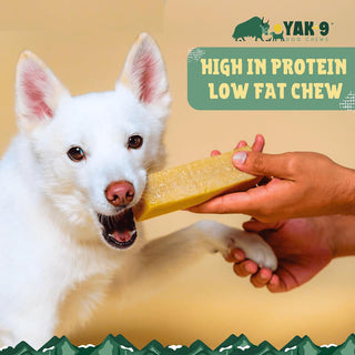 Yak9 Strawberry Cheese Chew