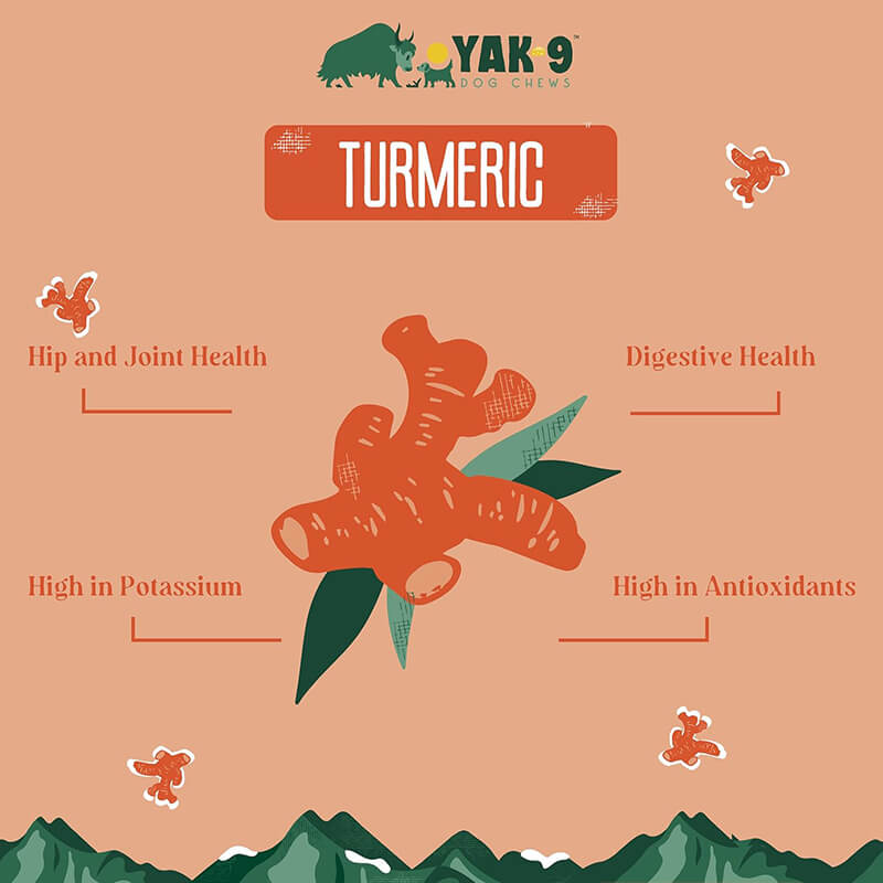 Yak9 Turmeric Cheese Chew