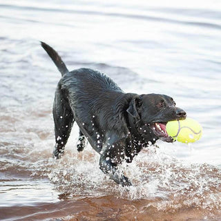 Kong Squeaker Football