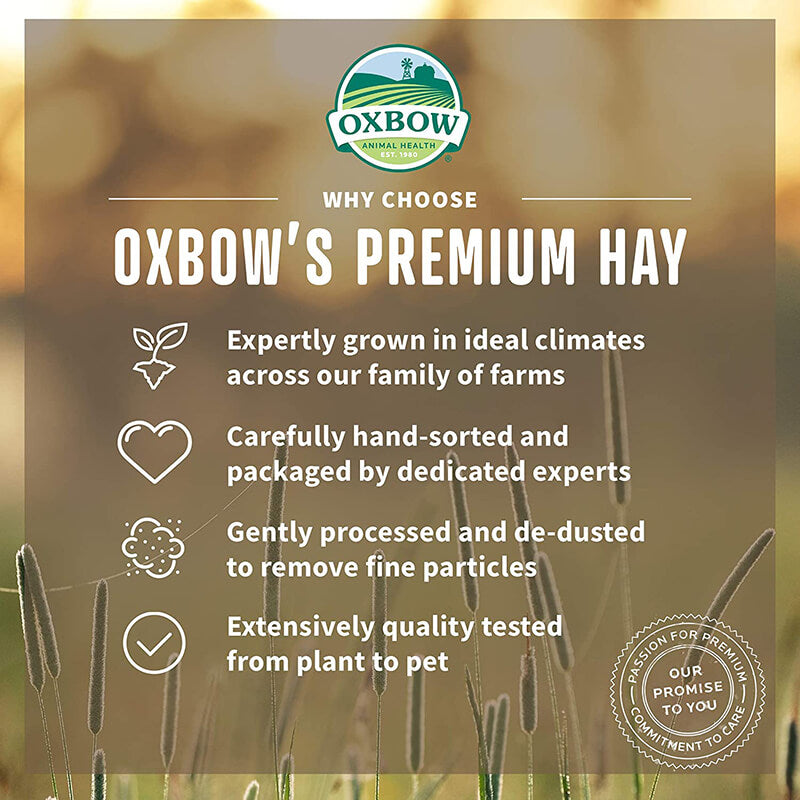 Oxbow Alfalfa Hay