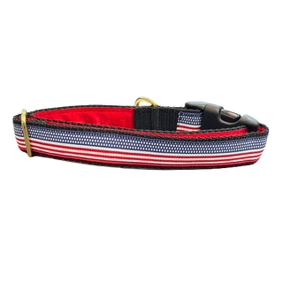Mackenzie American Flag Collar