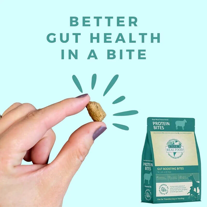 Steve's Freeze-Dried Gut Boosting Protein Bites Lamb
