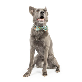 Huxley & Kent Bow Tie Prickly Cactus