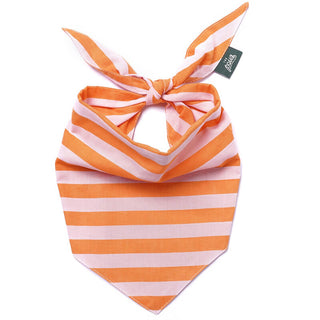 The Paws Bandana - Nusa