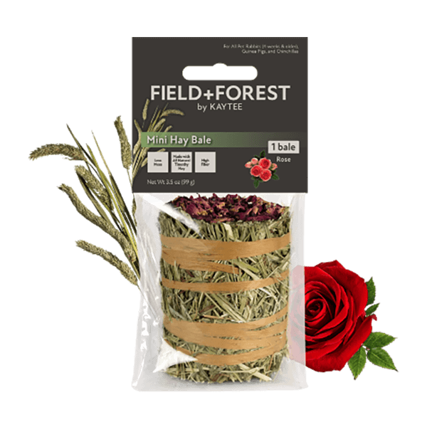 Field + Forest Mini Hay Bales