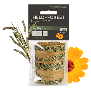 Field + Forest Mini Hay Bales