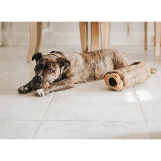 Zippy Paws Burrow Log