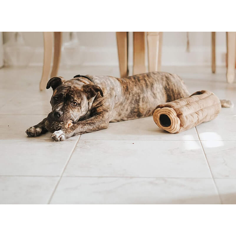 Zippy Paws Burrow Log