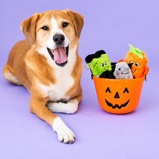 Zippy Paws Halloween Buddies 3-Pack