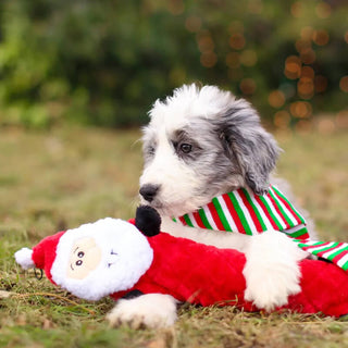 Zippy Paws Holiday Jigglerz Santa
