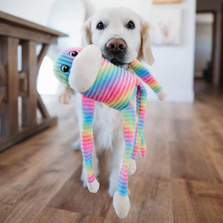 Zippy Pawz Spencer the Rainbow Crinkle Monkey