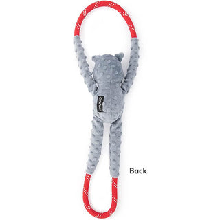 Zippy Ropetugz Koala