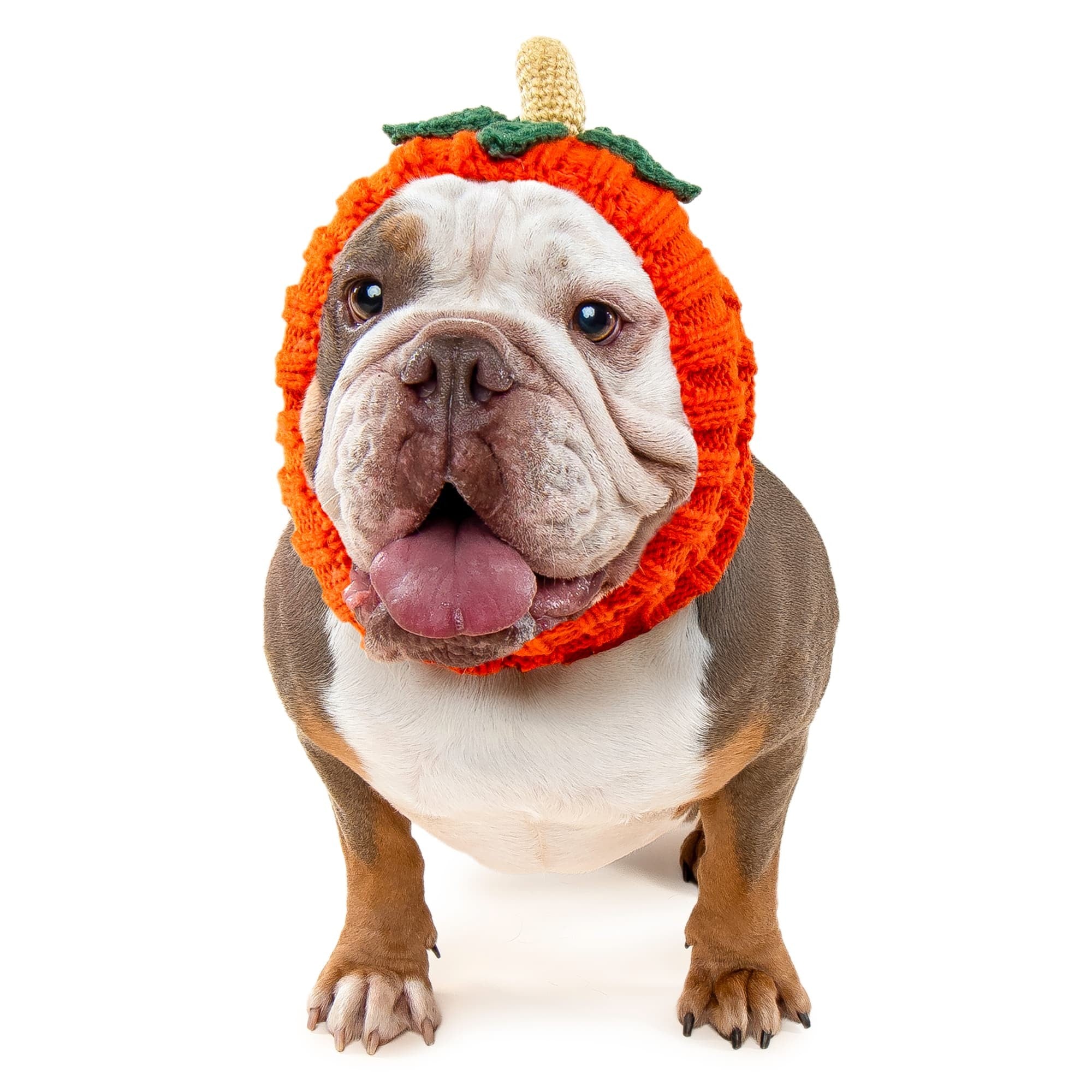 Zoo Snoods Pumpkin
