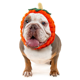 Zoo Snoods Pumpkin