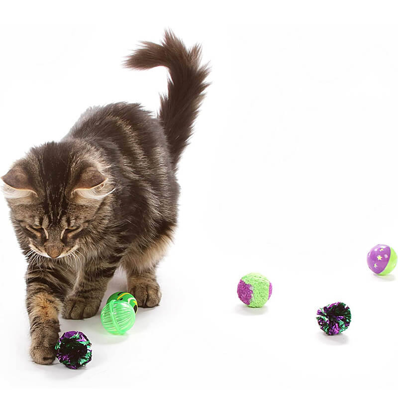 Our Pets Go! Cat Go! Rollin' In Fun Multipack 6pc