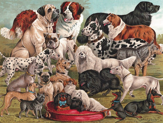 NY Puzzle Company Dog Breeds Puzzle