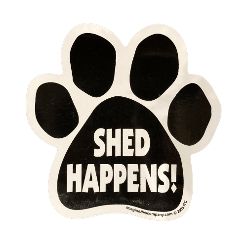 Imagine This Car Magnet - Shed Happens