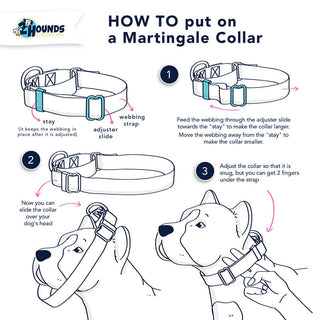 2 Hounds Martingale Collar With Buckle