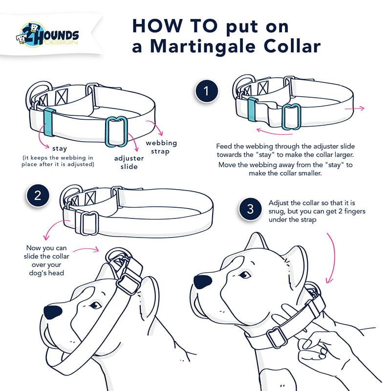2 Hounds Martingale Collar With Buckle