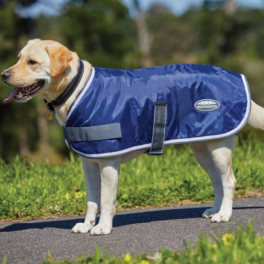 Windbreaker 420 D