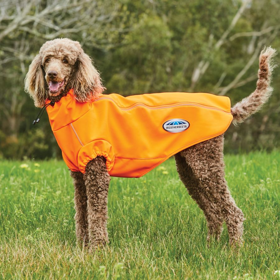 Weatherbeeta Comfitec Active Dog Coat