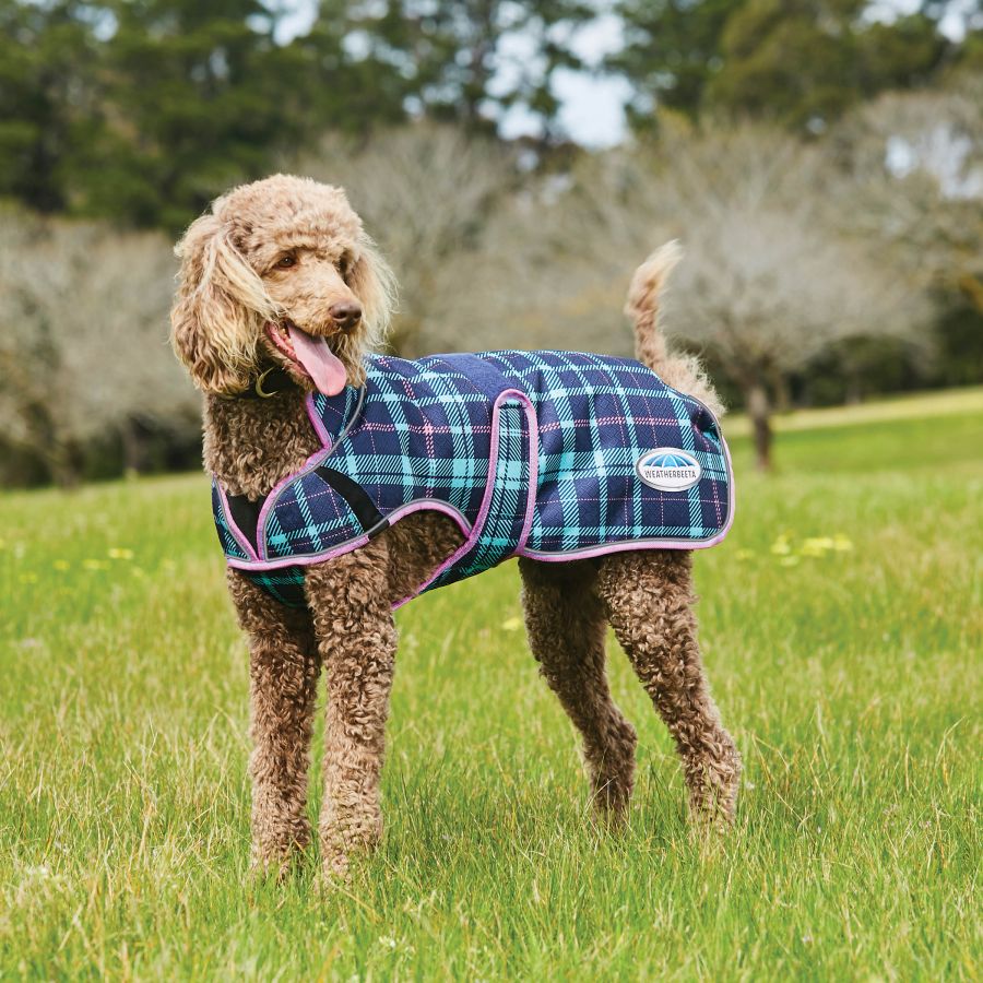 Weatherbeeta Comfitec Premier Deluxe Dog Parka