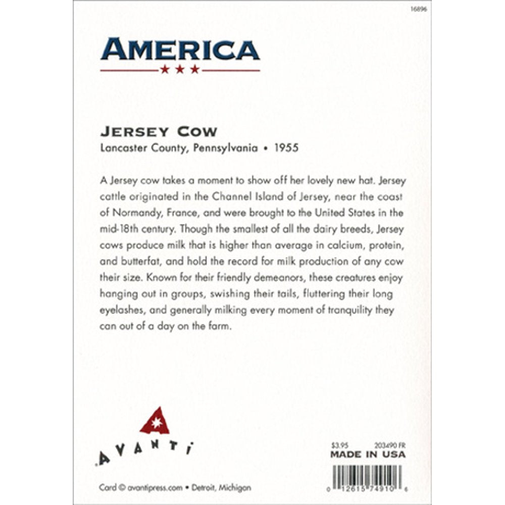 Avanti America Greeting Card - Jersey Cow With Hat