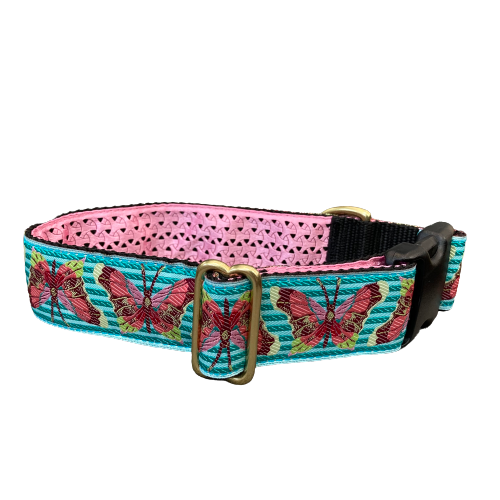 Mackenzie Collar Butterfly on Turquoise