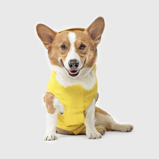 Canada Pooch Tracker Yellow Raincoat