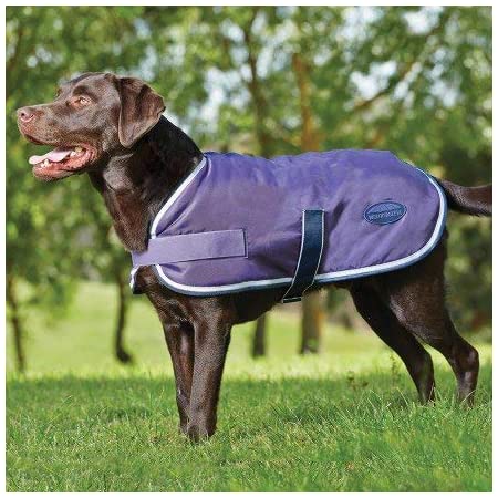 Windbreaker 420 D