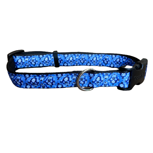 Coastal Pet Halloween Celebration Blue Skull Collar