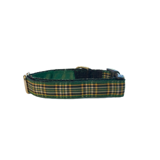 Mackenzie Irish National Tartan Collar