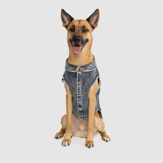Canada Pooch Downtown Denim Vest