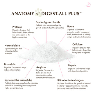 Wholistic Pet Organics Digest-All Plus
