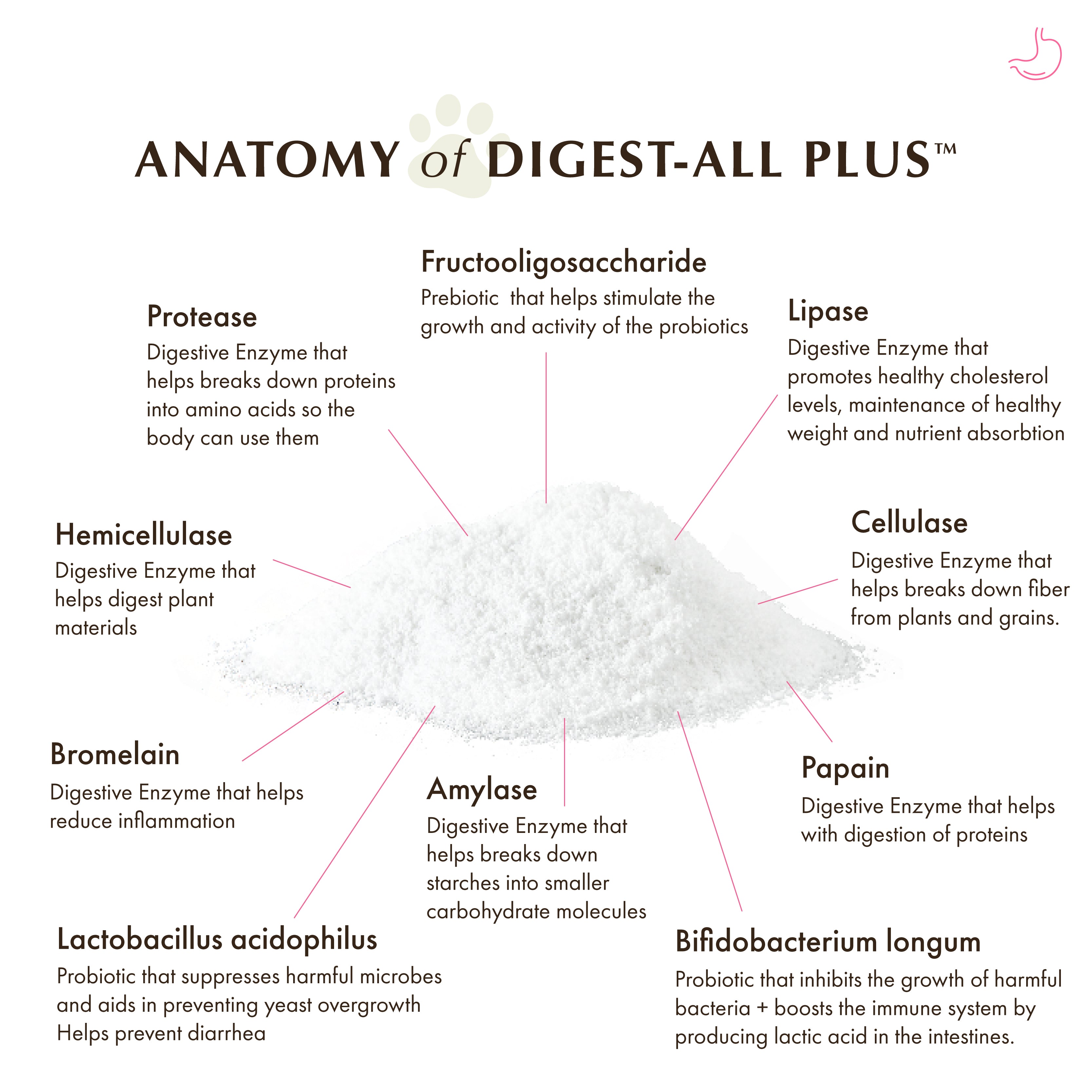 Wholistic Pet Organics Digest-All Plus