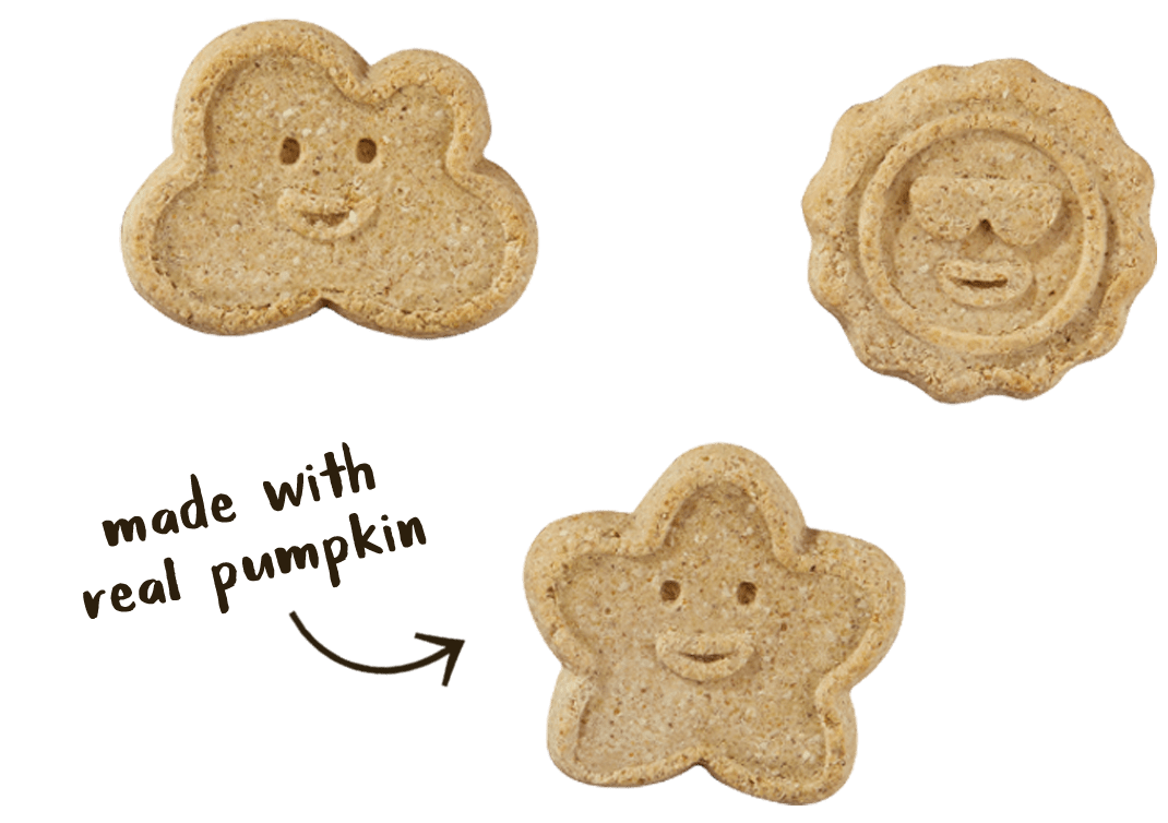 Wag More Grain-Free Biscuits Pumpkin