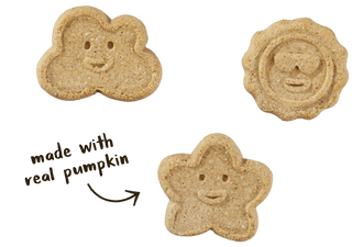 Wag More Grain-Free Biscuits Pumpkin