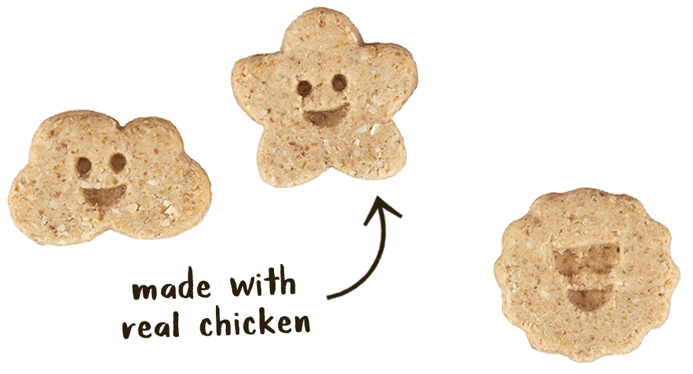 Wag More Oats & Grains Biscuits Chicken & Carrot