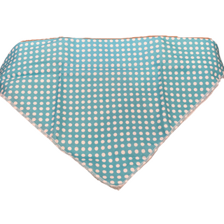 Dapper Dexter Spring Bandana