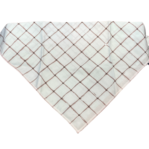 Dapper Dexter Spring Bandana