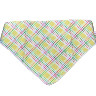 Dapper Dexter Spring Bandana