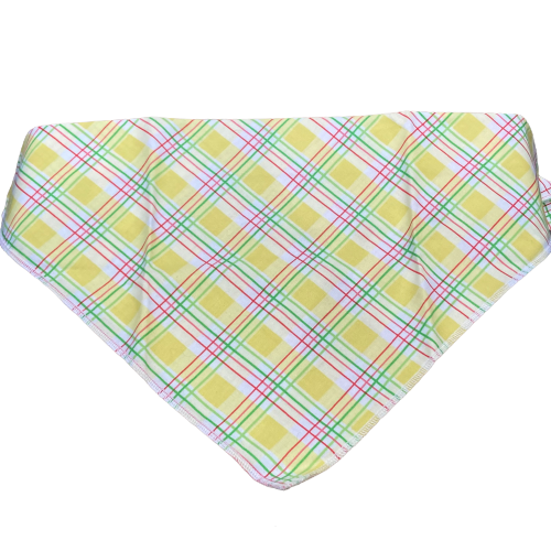 Dapper Dexter Spring Bandana