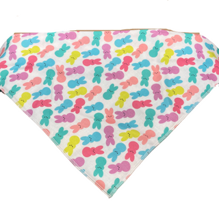 Dapper Dexter Spring Bandana