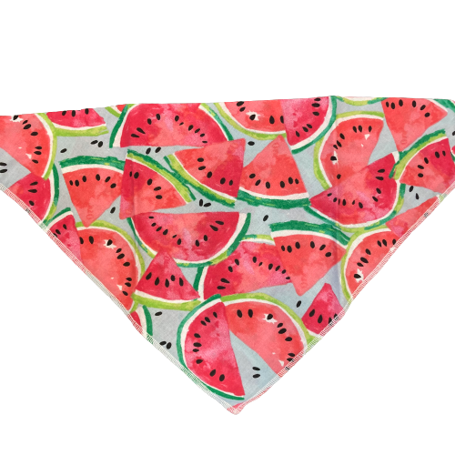 Dapper Dexter Summer Bandanas