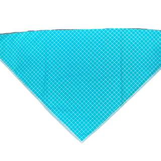 Dapper Dexter Summer Bandanas