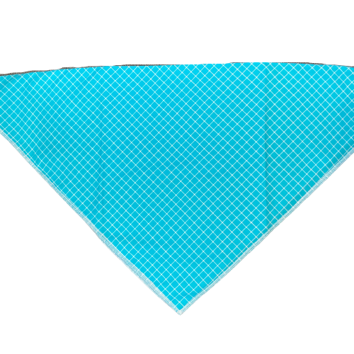 Dapper Dexter Summer Bandanas